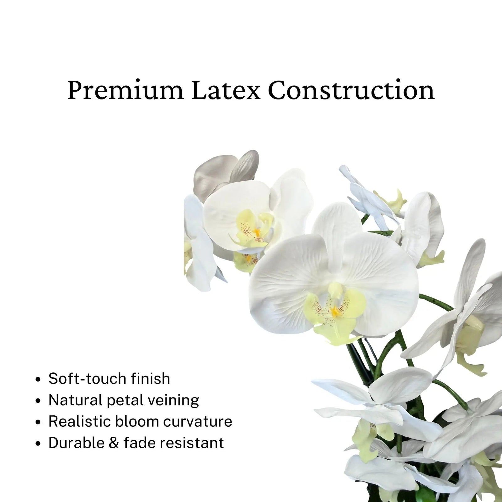 Artificial White Orchid Arrangement, Double Stem Real Touch Latex Phalaenopsis in Mirror Glass Cube Planter, Luxury Faux Orchid for Modern Home & Office Decor - The Room Collective