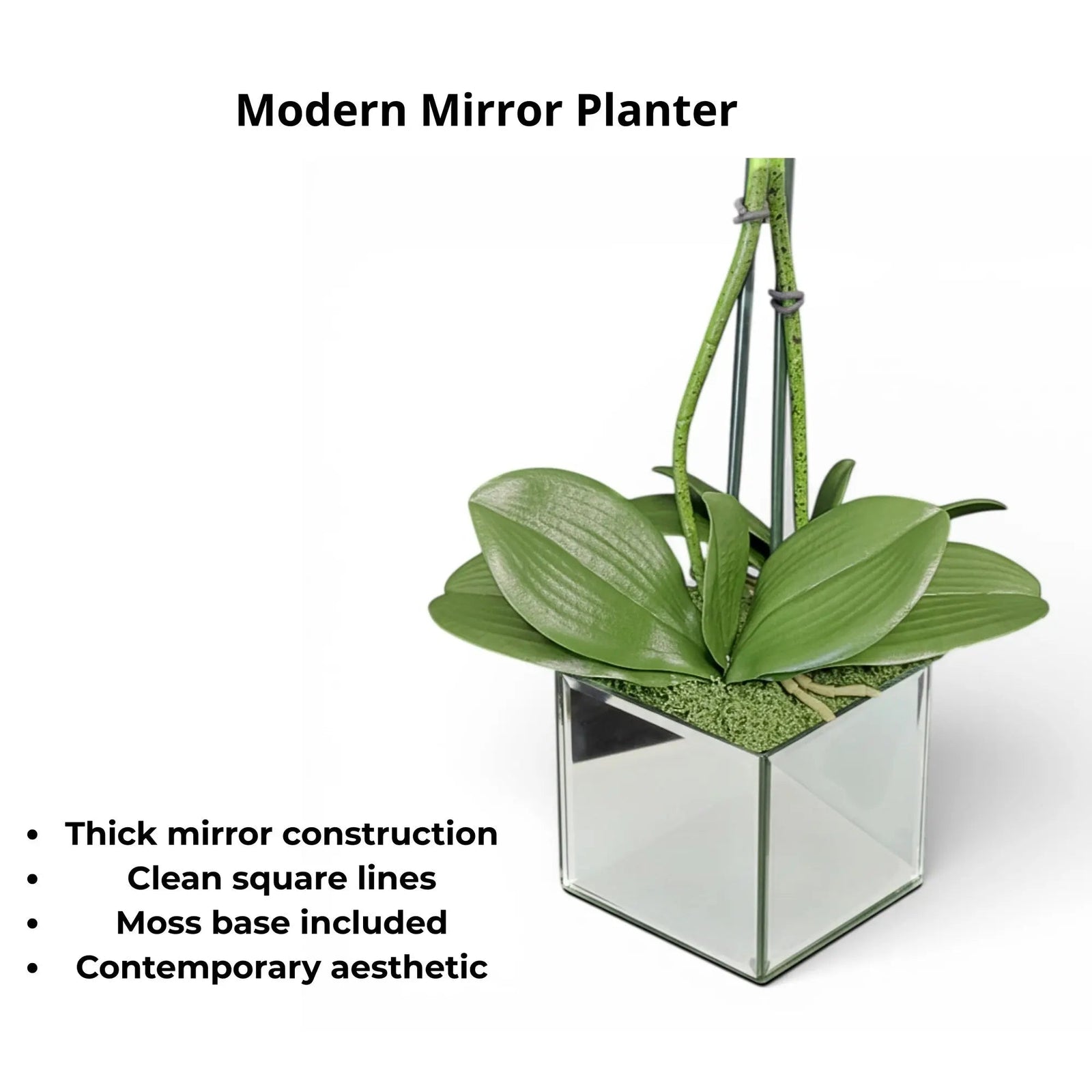 Artificial White Orchid Arrangement, Double Stem Real Touch Latex Phalaenopsis in Mirror Glass Cube Planter, Luxury Faux Orchid for Modern Home & Office Decor - The Room Collective