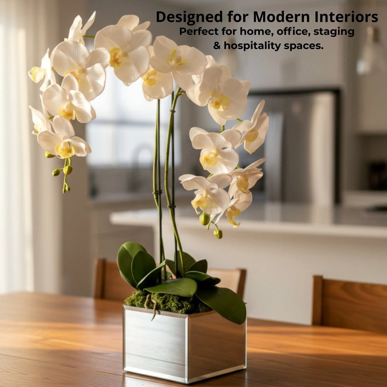 Artificial White Orchid Arrangement, Double Stem Real Touch Latex Phalaenopsis in Mirror Glass Cube Planter, Luxury Faux Orchid for Modern Home & Office Decor - The Room Collective