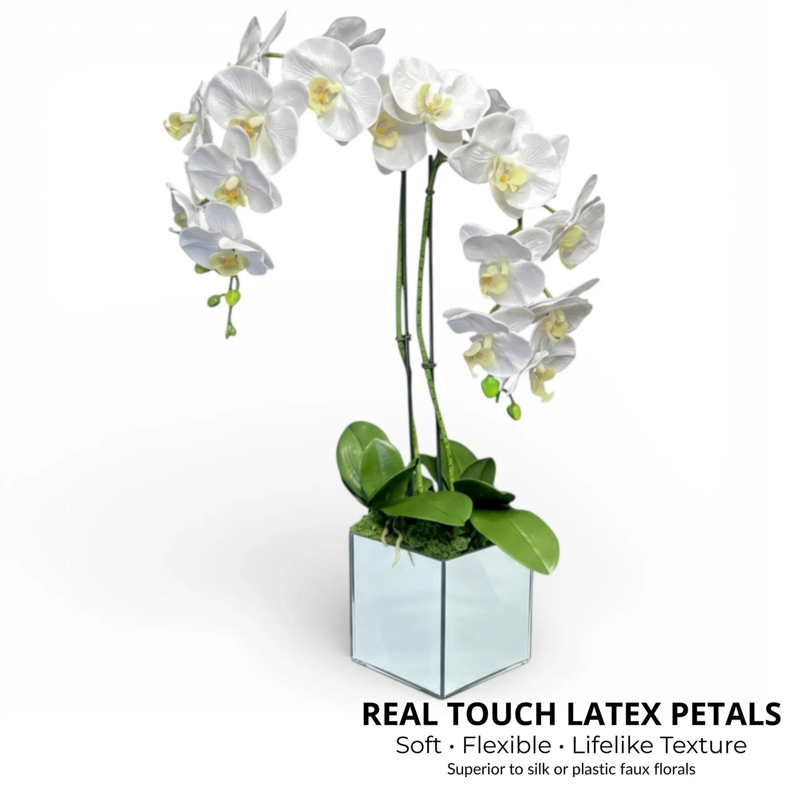 Artificial White Orchid Arrangement, Double Stem Real Touch Latex Phalaenopsis in Mirror Glass Cube Planter, Luxury Faux Orchid for Modern Home & Office Decor - The Room Collective