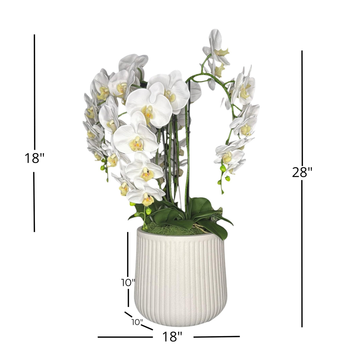 Crystal City Designs 28 inch artificial white Phalaenopsis orchid arrangement with four stems in a textured white pot.