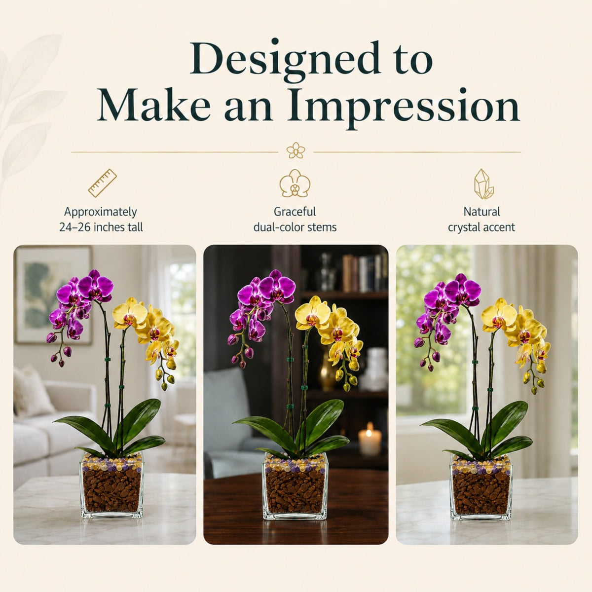 Crystal City Designs double-stem Phalaenopsis orchid with purple and yellow blooms and Citrine and Amethyst crystals.