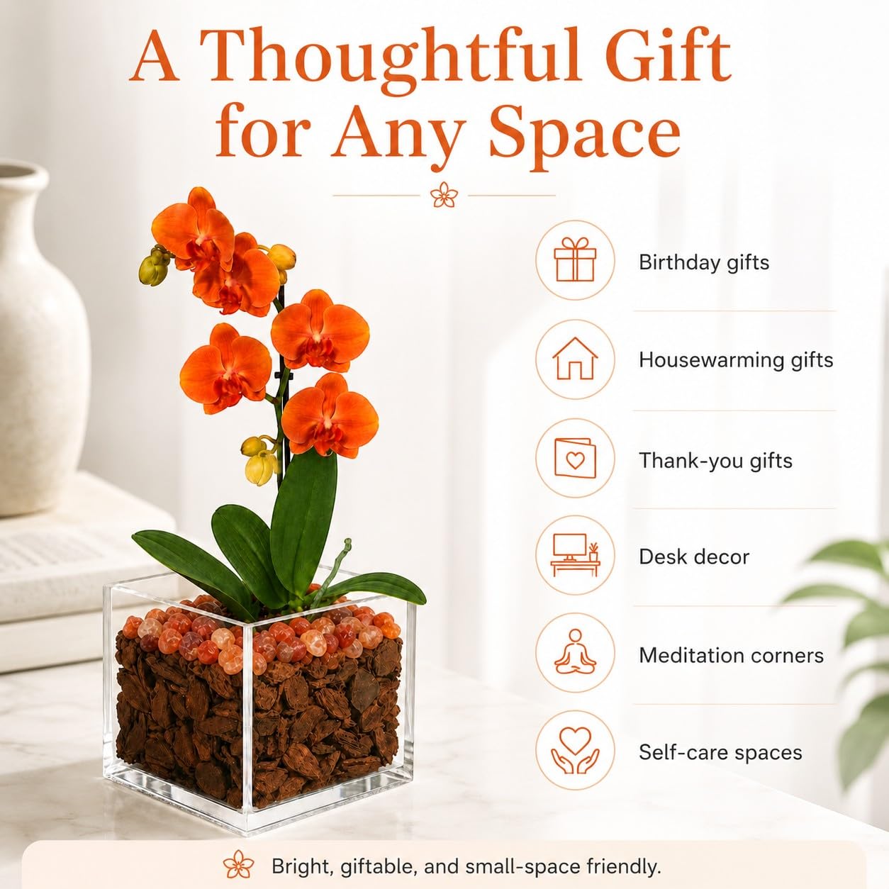 Crystal City Designs mini orange Phalaenopsis orchid in a clear acrylic cube with natural Sunstone crystal accents.