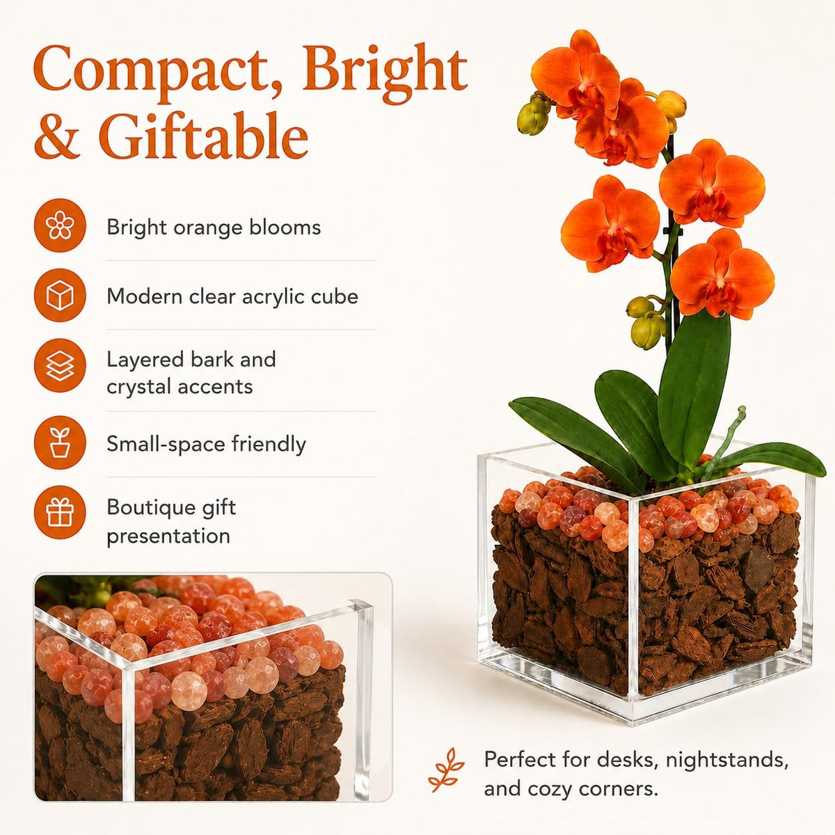 Crystal City Designs mini orange Phalaenopsis orchid in a clear acrylic cube with natural sunstone crystal accents.