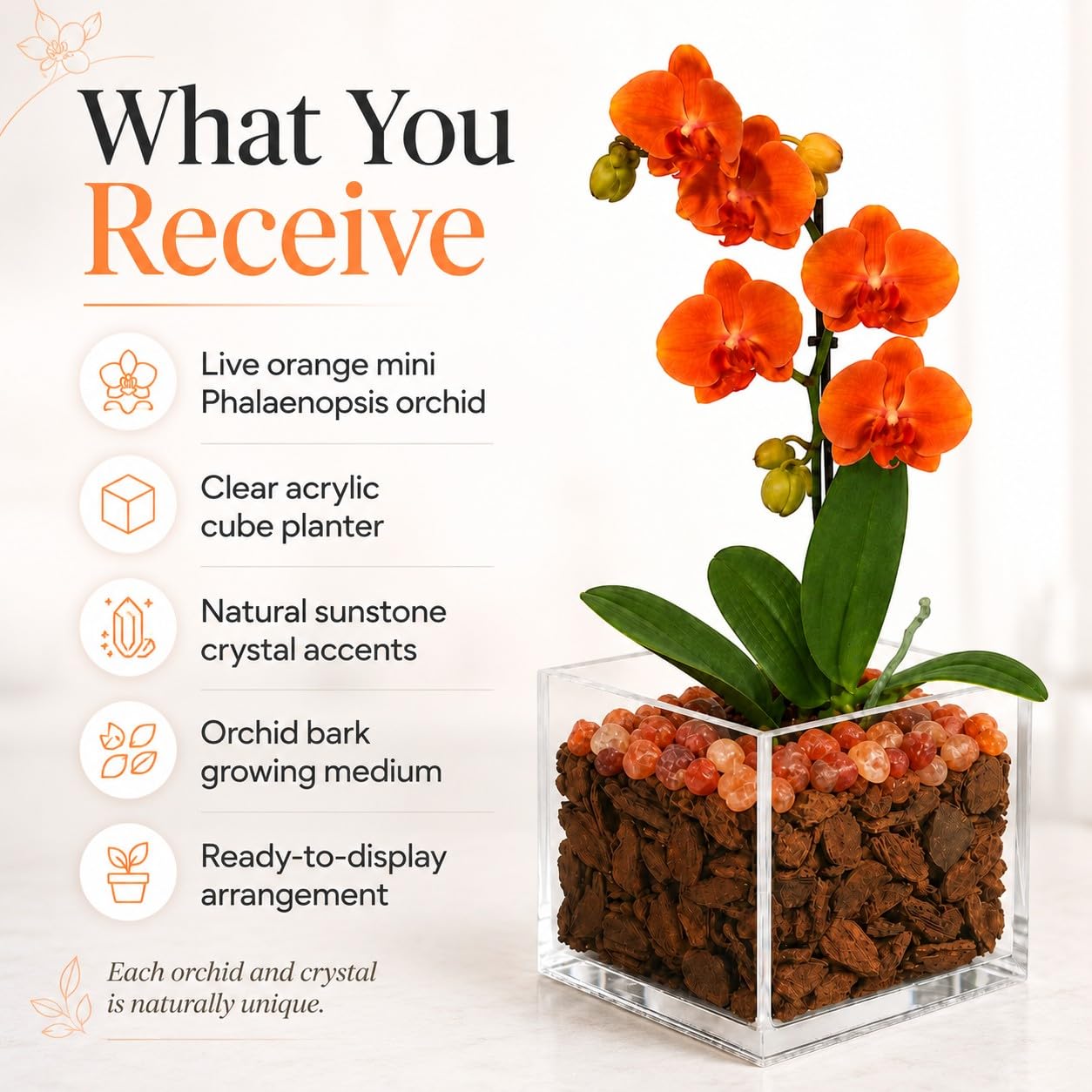 Crystal City Designs live orange mini Phalaenopsis orchid in a clear acrylic cube with natural sunstone crystal accents