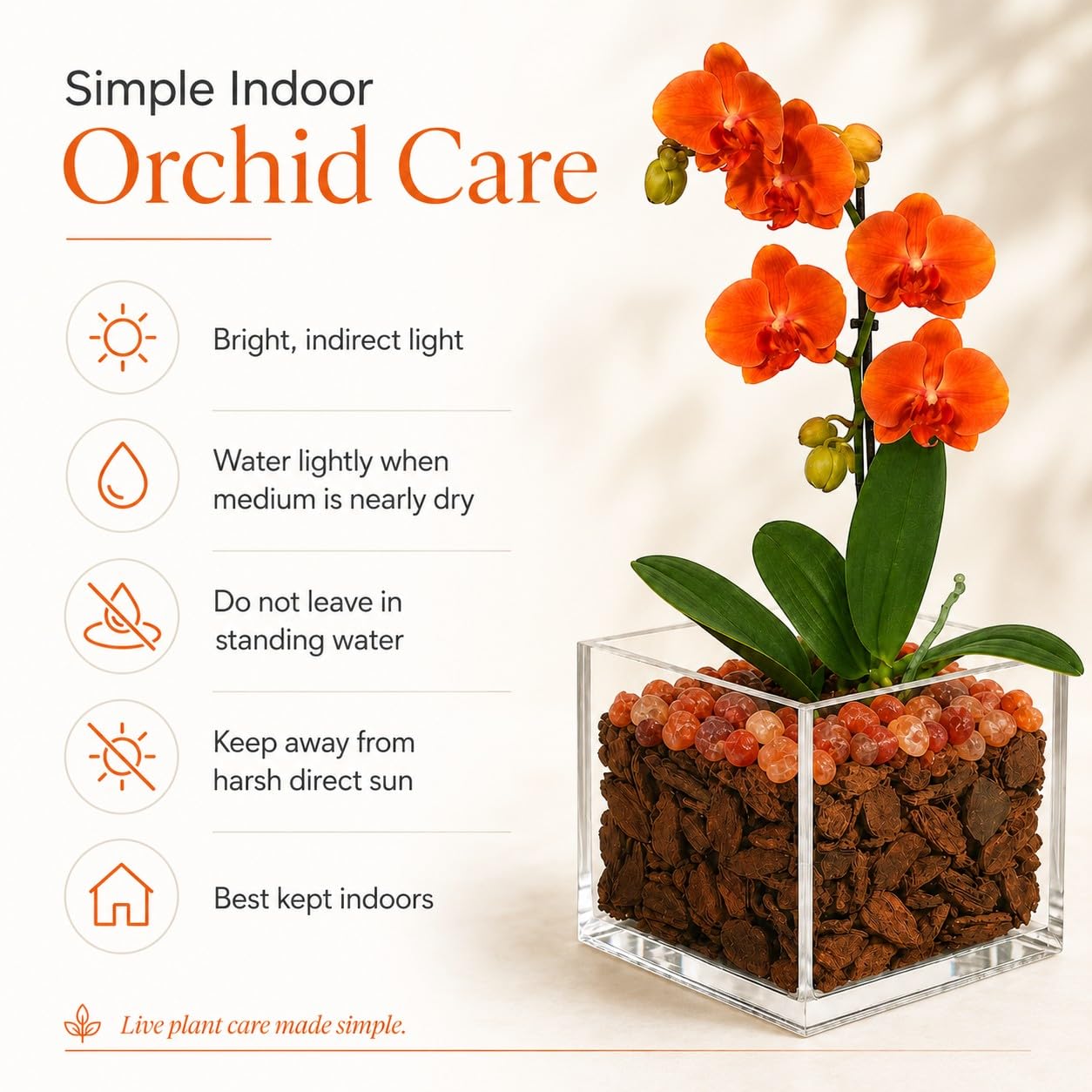 Crystal City Designs mini orange Phalaenopsis orchid in a clear acrylic cube with natural Sunstone crystal accents.