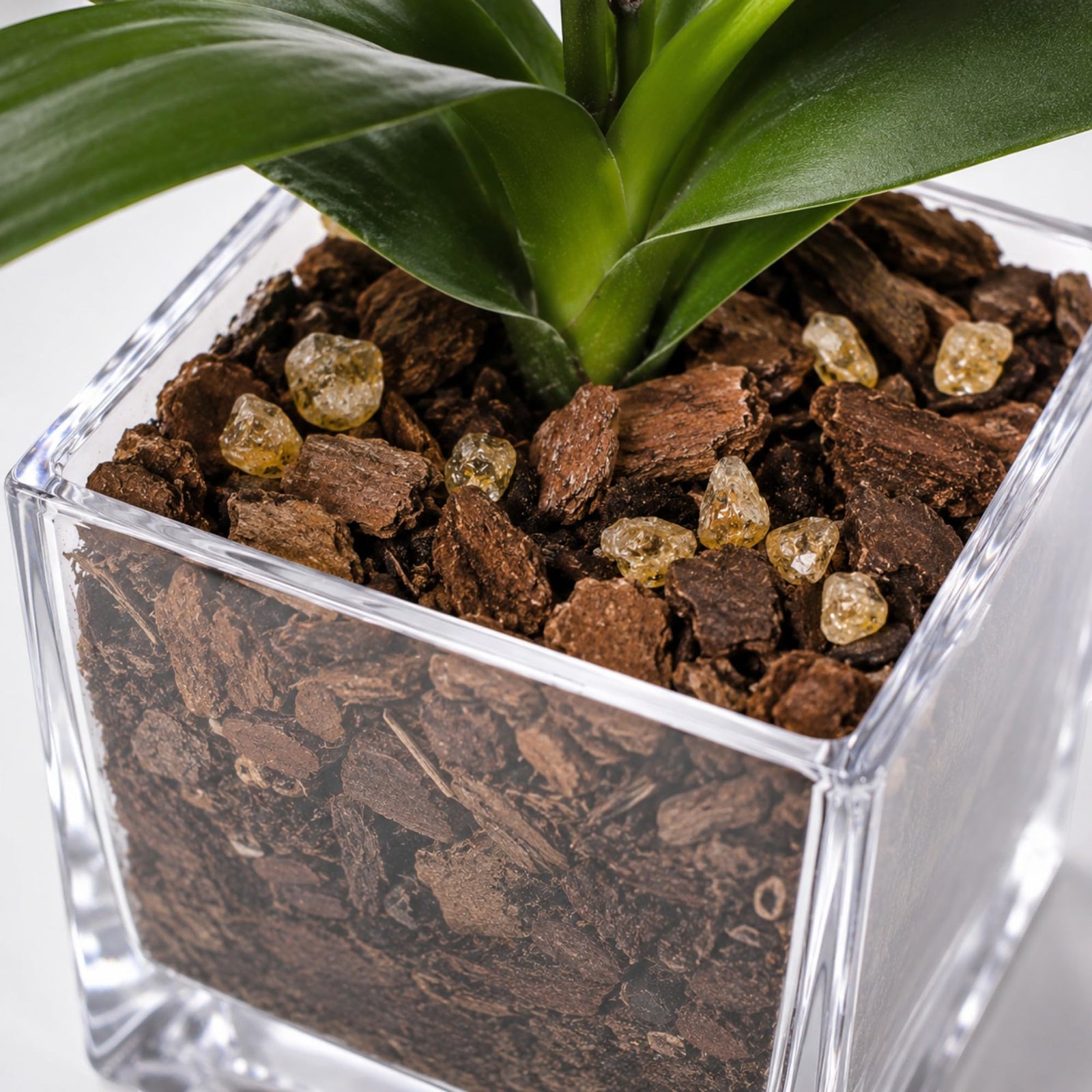 Crystal City Designs yellow Phalaenopsis orchid in a clear acrylic cube planter with natural Citrine crystal accents.