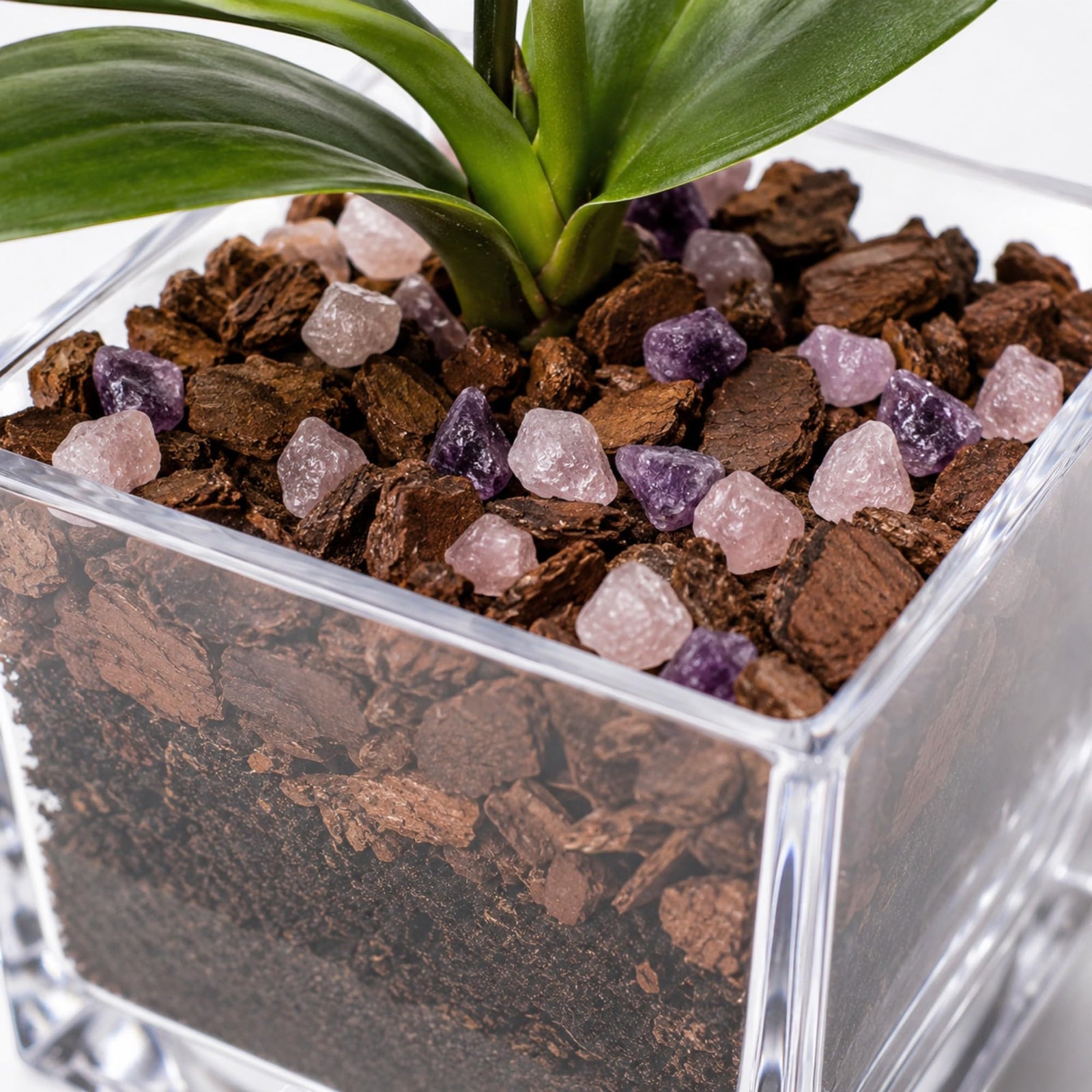 Crystal City Designs pink Phalaenopsis orchid in a clear acrylic cube with Rose Quartz and Amethyst crystal accents.