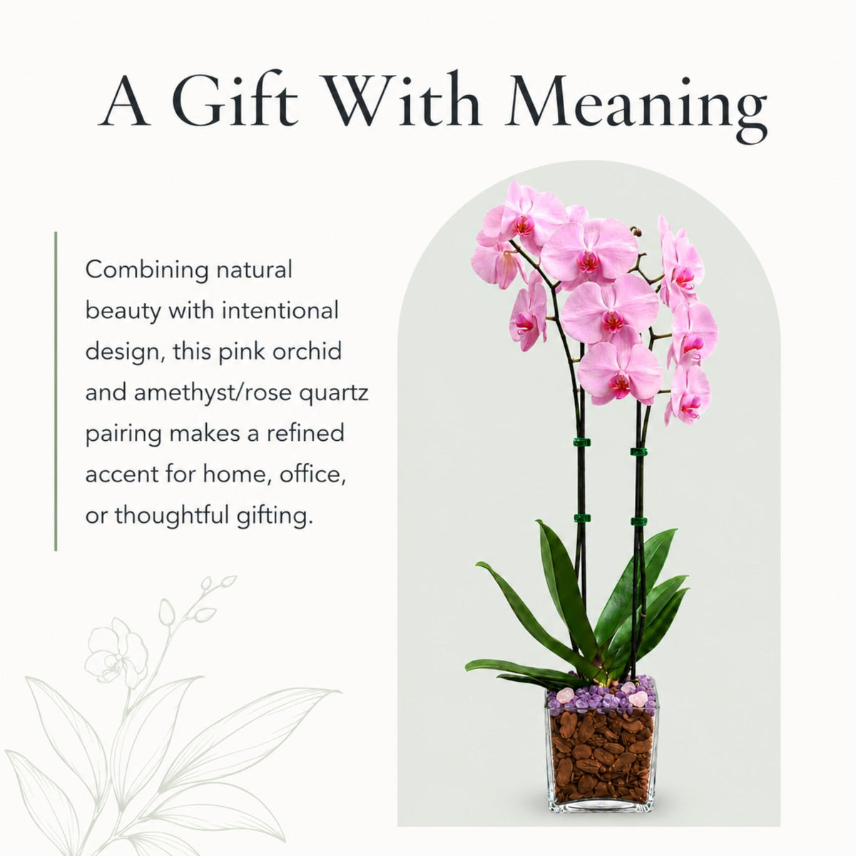 Crystal City Designs double-stem pink Phalaenopsis orchid in a clear planter with Rose Quartz and Amethyst crystals.