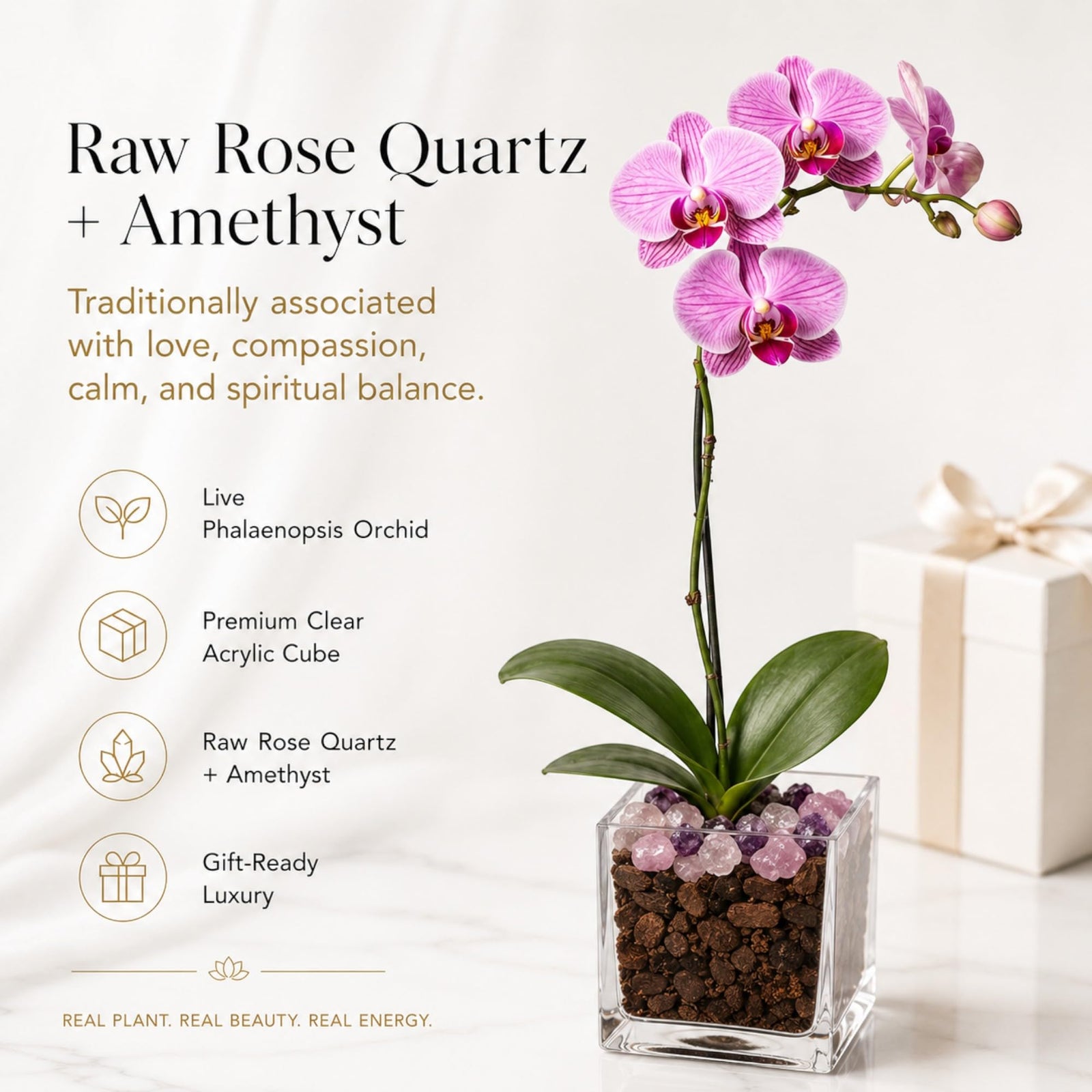 Crystal City Designs pink Phalaenopsis orchid in a clear acrylic cube with raw Rose Quartz and Amethyst crystal stones.