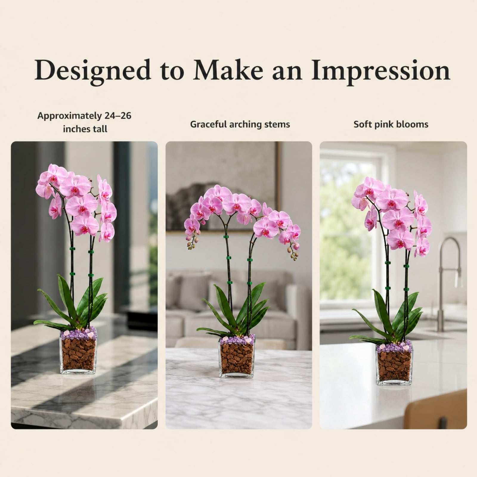 Crystal City Designs double-stem pink Phalaenopsis orchid in a clear planter with Rose Quartz and Amethyst crystals.