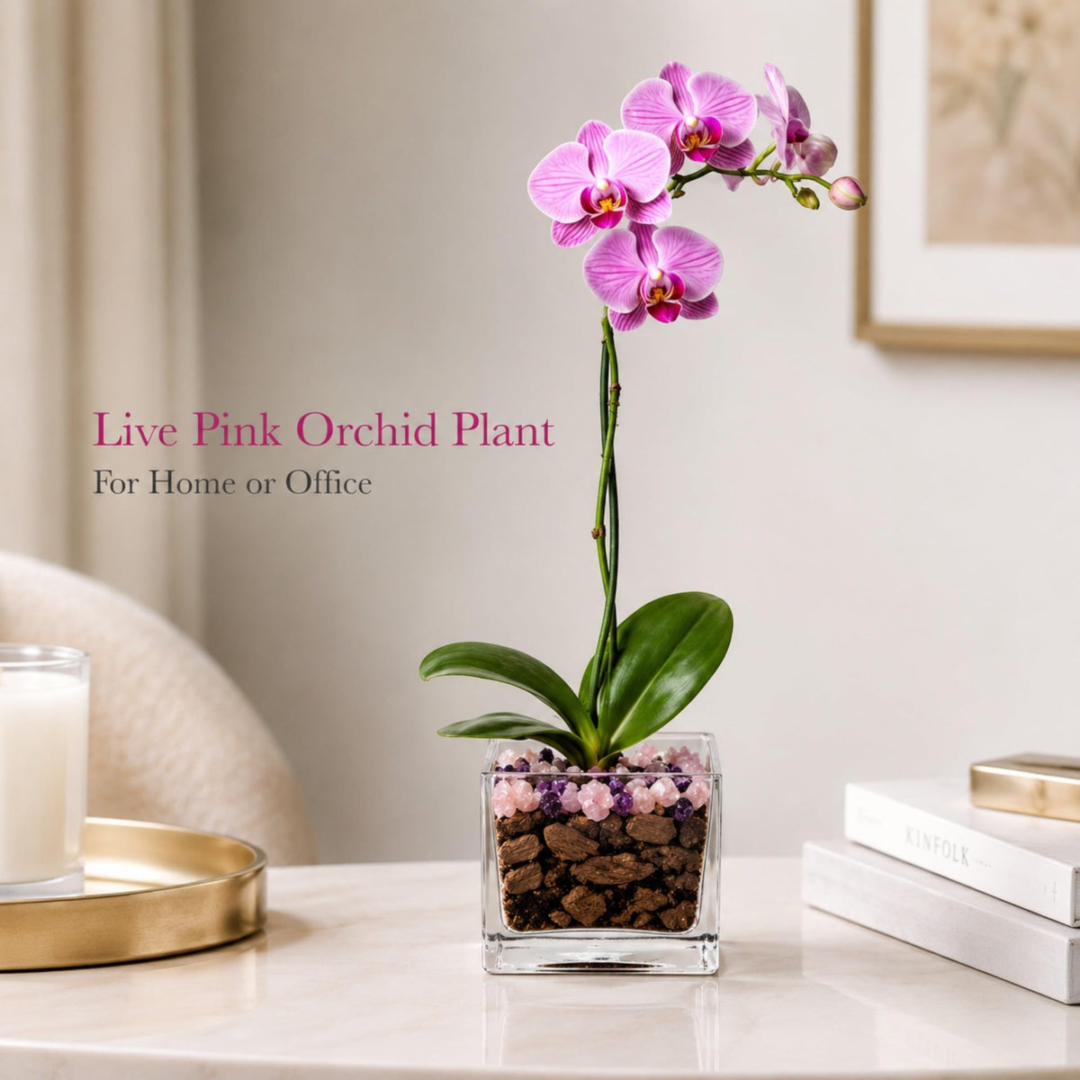 Crystal City Designs live pink Phalaenopsis orchid in a clear acrylic cube with Rose Quartz and Amethyst crystal accents
