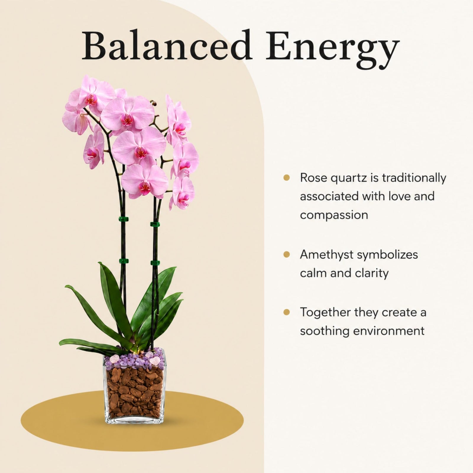 Crystal City Designs double-stem pink Phalaenopsis orchid in a clear planter with Rose Quartz and Amethyst crystals.