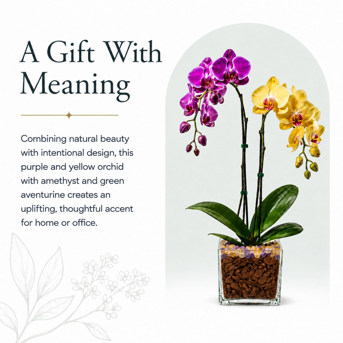 Crystal City Designs double-stem Phalaenopsis orchid with purple and yellow blooms in a clear planter with crystals.