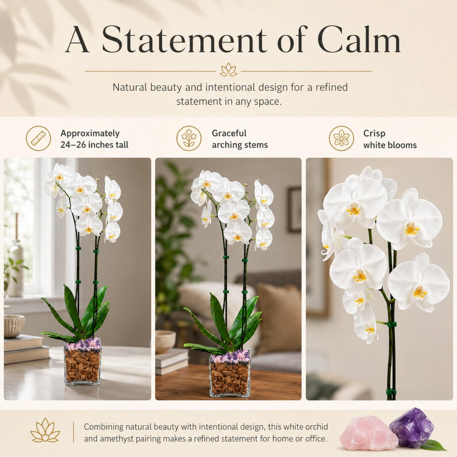 Crystal City Designs double-stem white Phalaenopsis orchid in a clear planter with natural amethyst crystal accents.