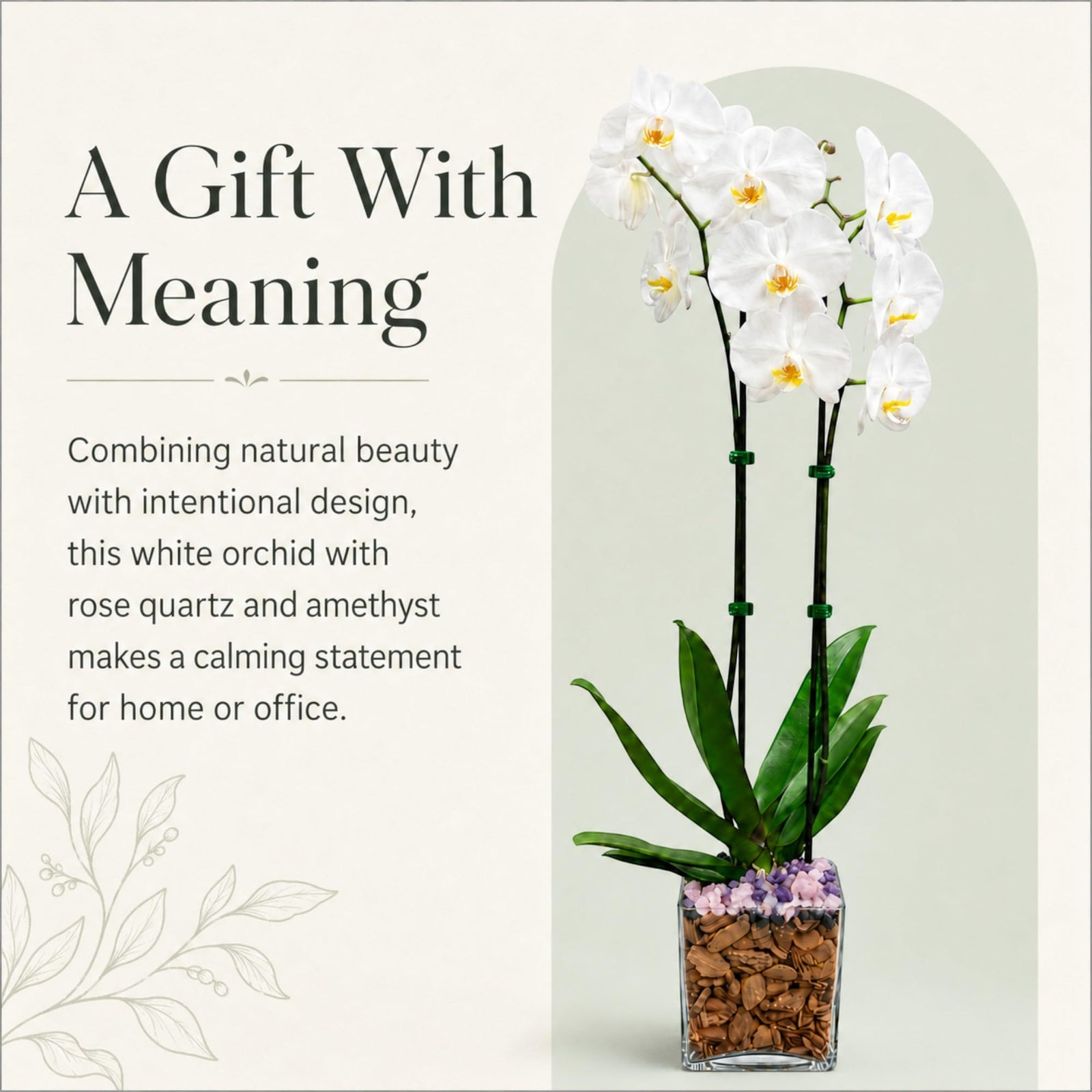 Crystal City Designs double-stem white Phalaenopsis orchid in a clear planter with amethyst and rose quartz accents.