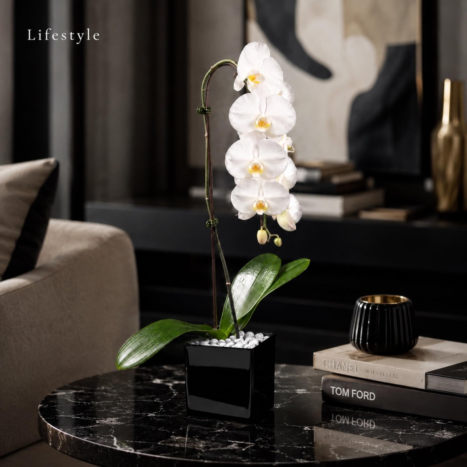 Crystal City Designs white Swan Phalaenopsis orchid in a black acrylic cube with raw Howlite stones on a marble table.