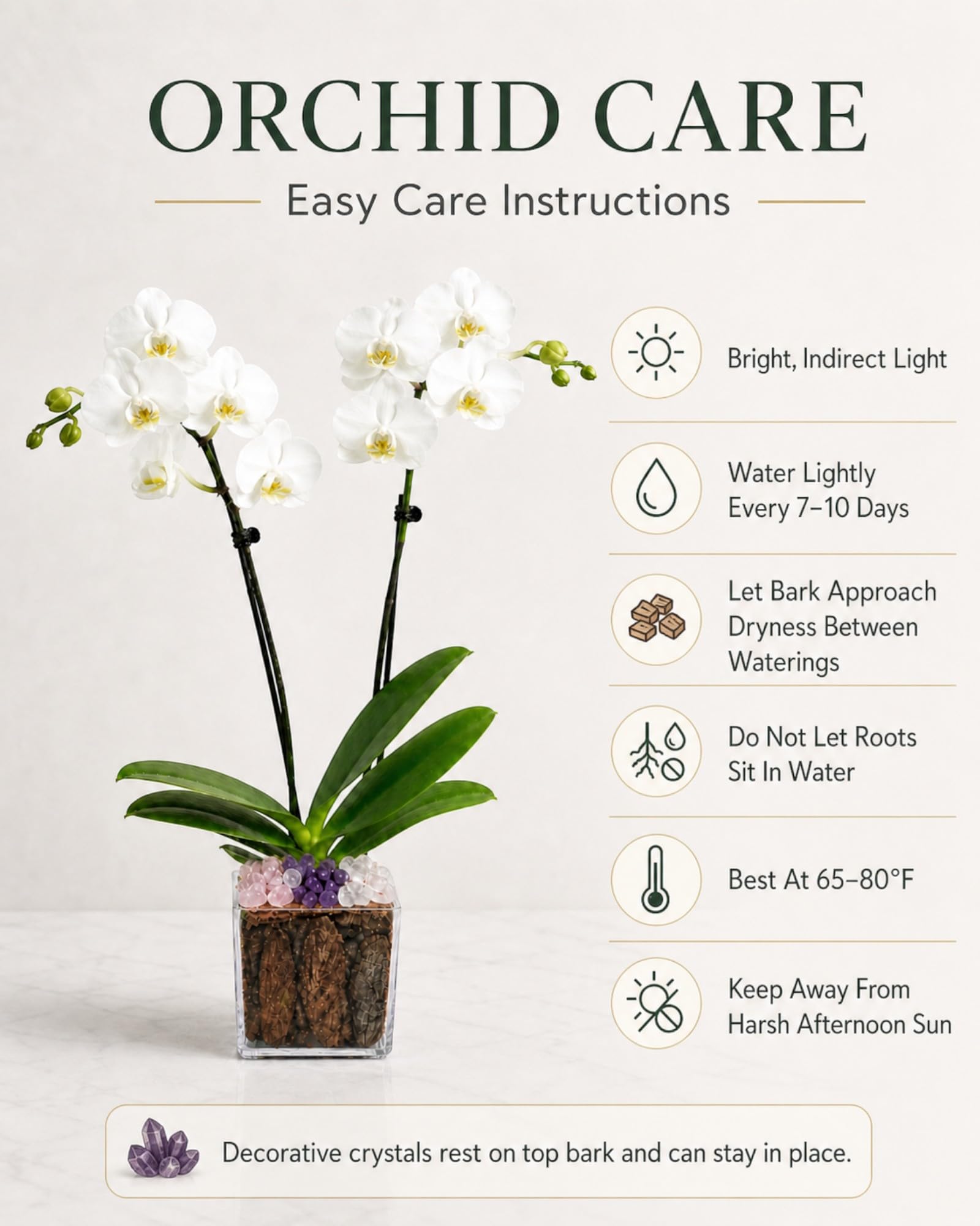 Crystal City Designs white Phalaenopsis orchid in an acrylic cube with rose quartz, clear quartz, and amethyst accents.