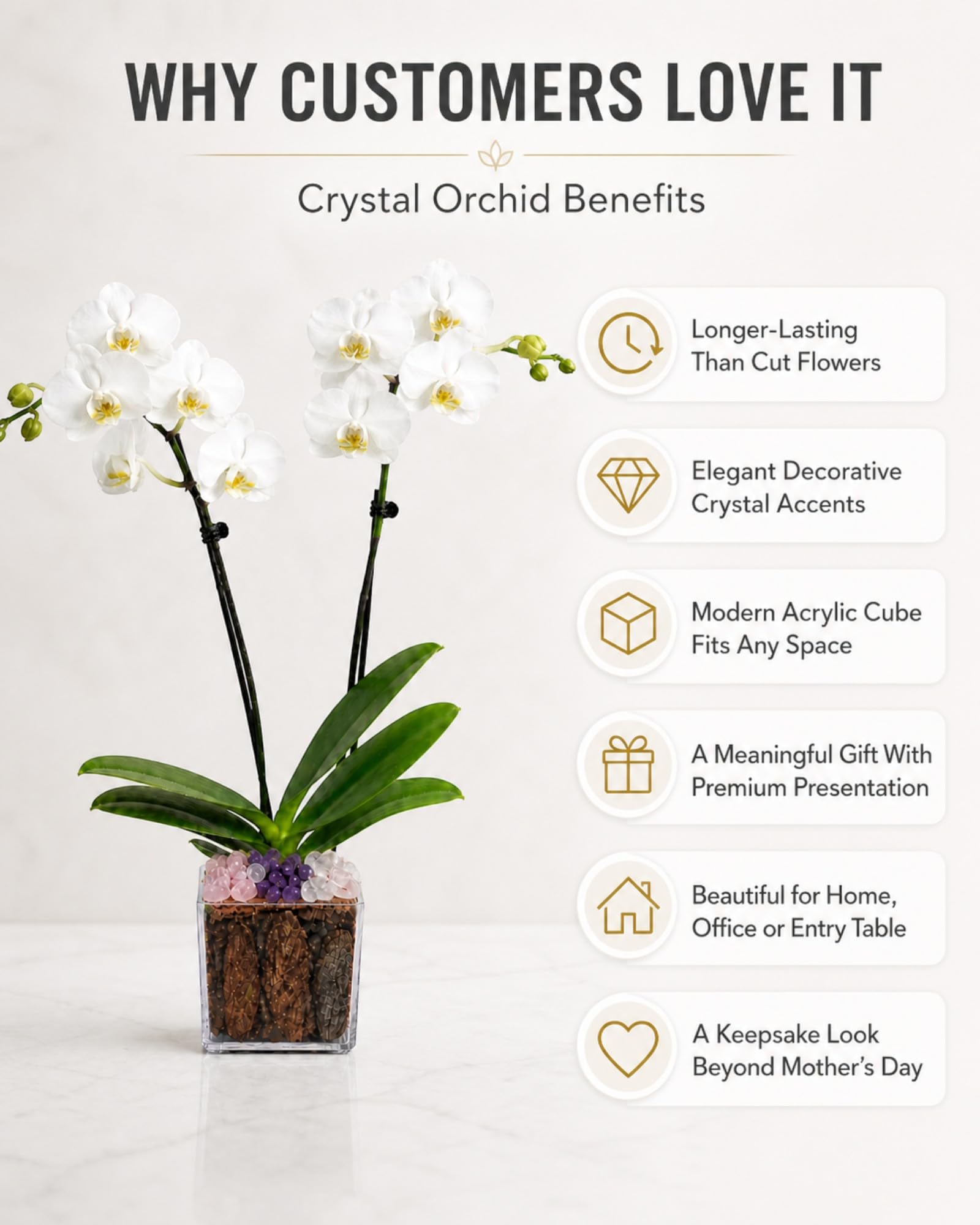 Crystal City Designs white Phalaenopsis orchid in a clear acrylic cube with rose quartz, clear quartz, and amethyst.