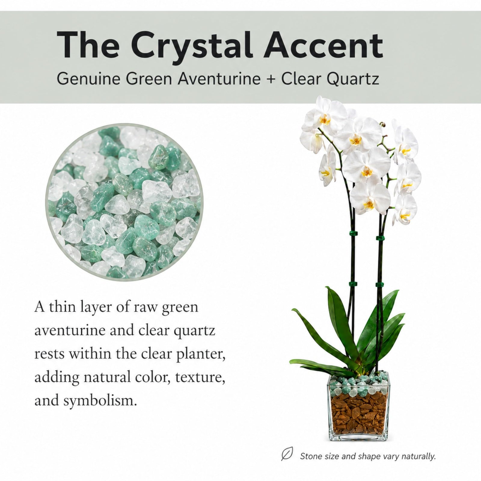Crystal City Designs double-stem white Phalaenopsis orchid in a clear planter with green aventurine and clear quartz.