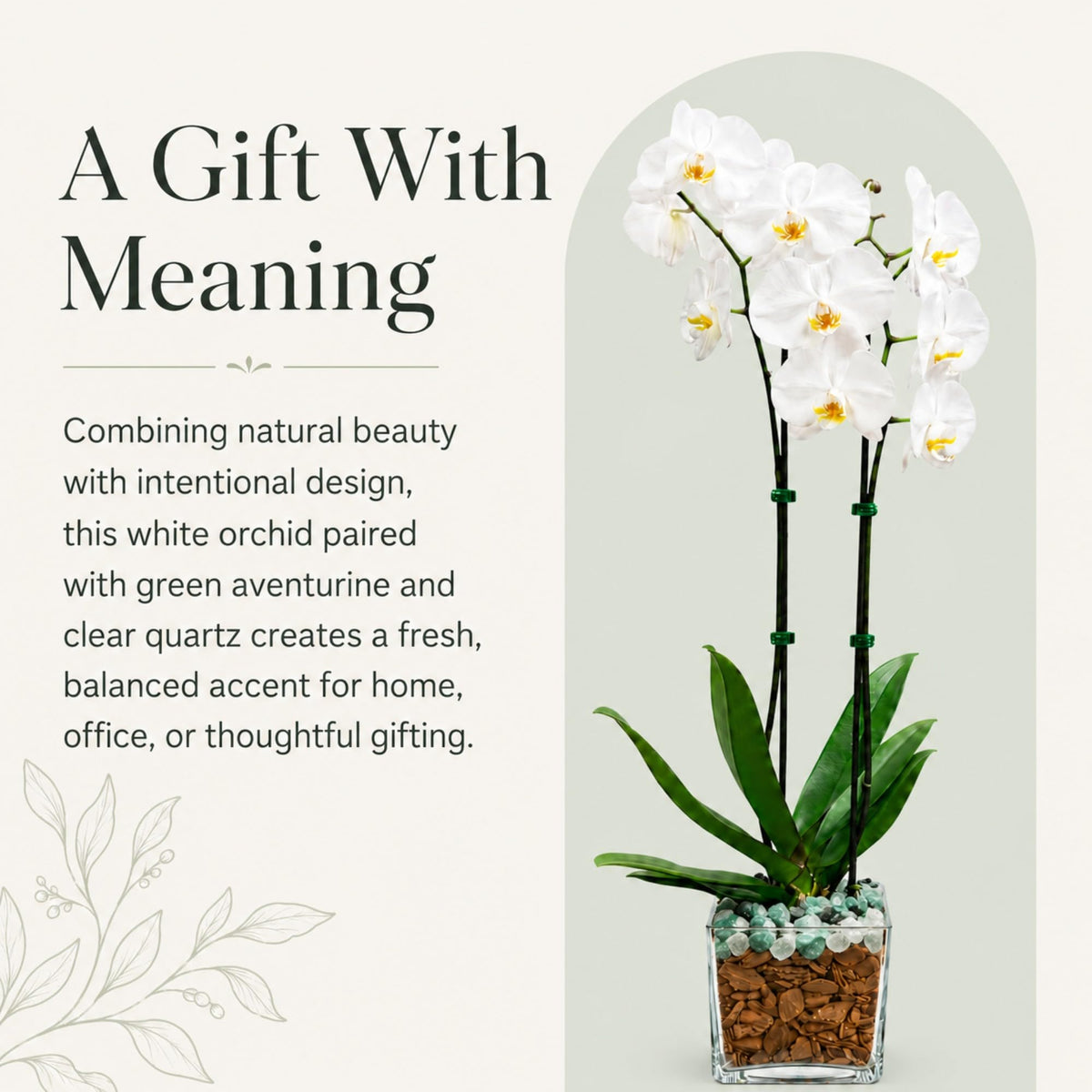 Crystal City Designs double-stem white Phalaenopsis orchid in a clear planter with green aventurine and clear quartz.