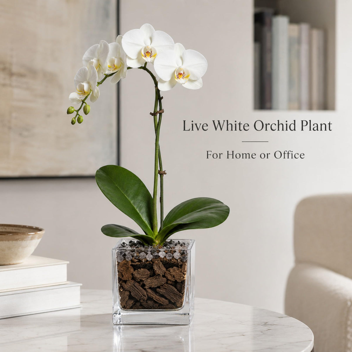 Crystal City Designs live white Phalaenopsis orchid in a clear acrylic cube with black obsidian and clear quartz stones.