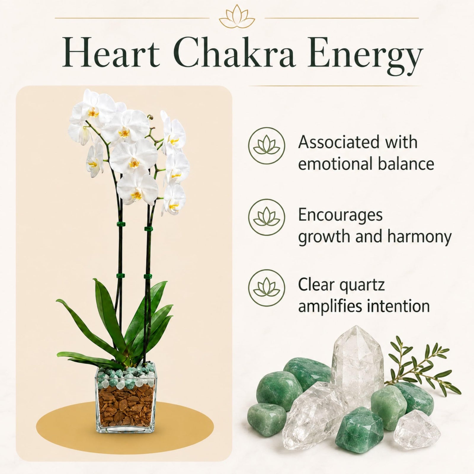 Crystal City Designs double stem white Phalaenopsis orchid in a clear planter with green aventurine and clear quartz.