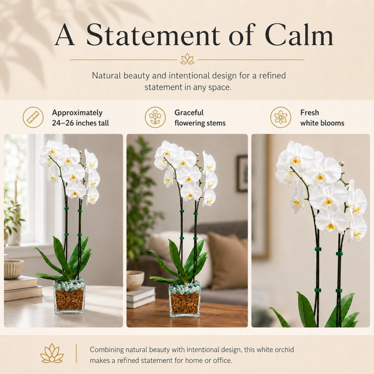 Crystal City Designs double-stem white Phalaenopsis orchid in a clear planter with Green Aventurine and Clear Quartz.