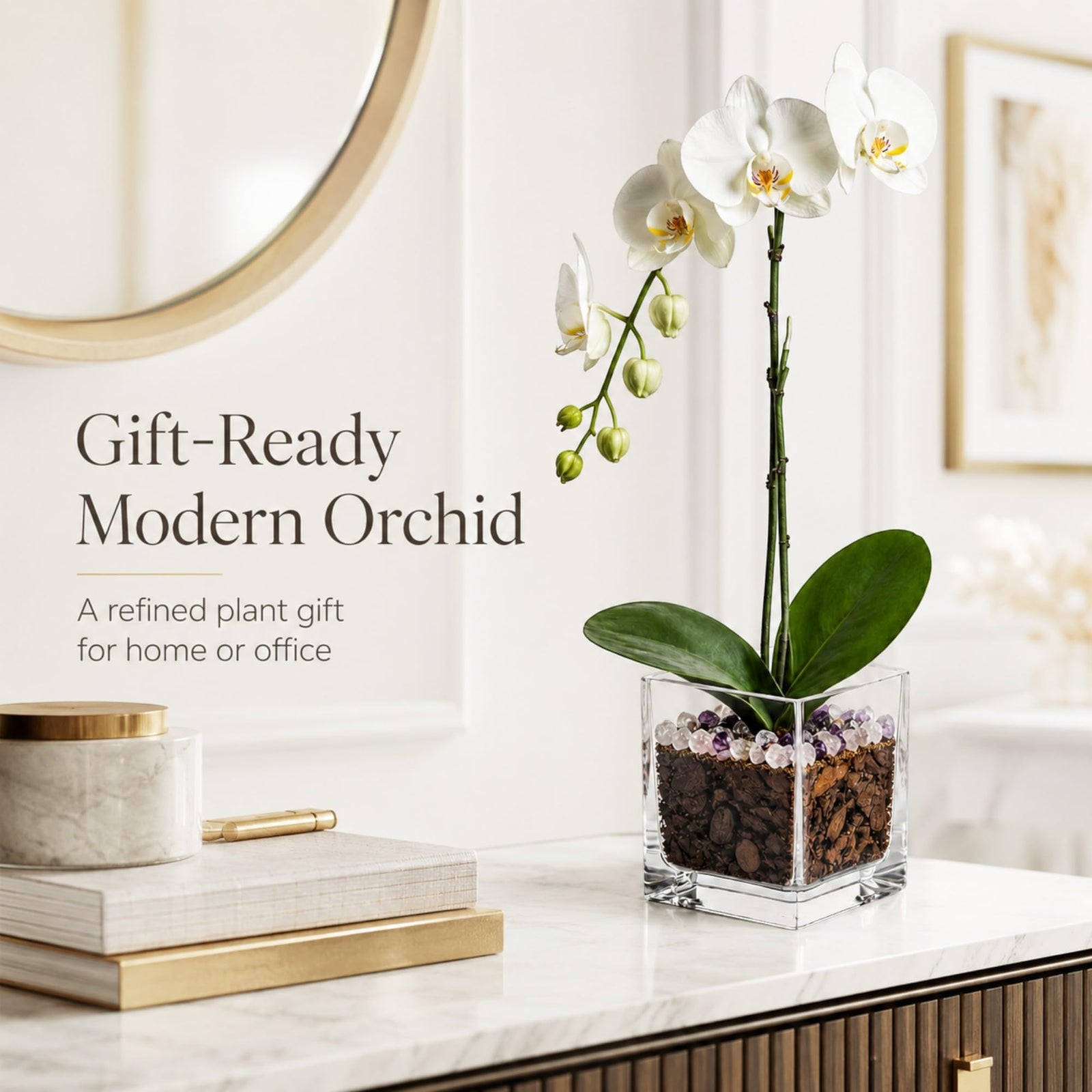 Crystal City Designs white Phalaenopsis orchid in a clear acrylic cube with Rose Quartz and Amethyst crystal accents.
