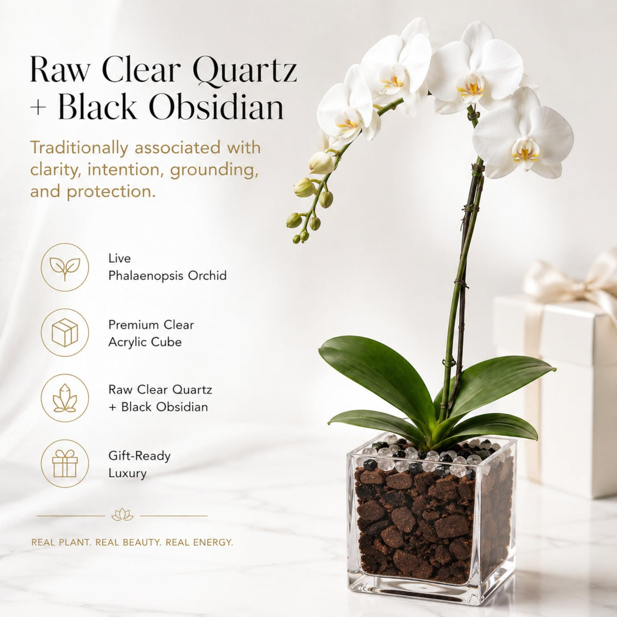 Crystal City Designs white Phalaenopsis orchid in a clear acrylic cube with raw black obsidian and clear quartz stones.