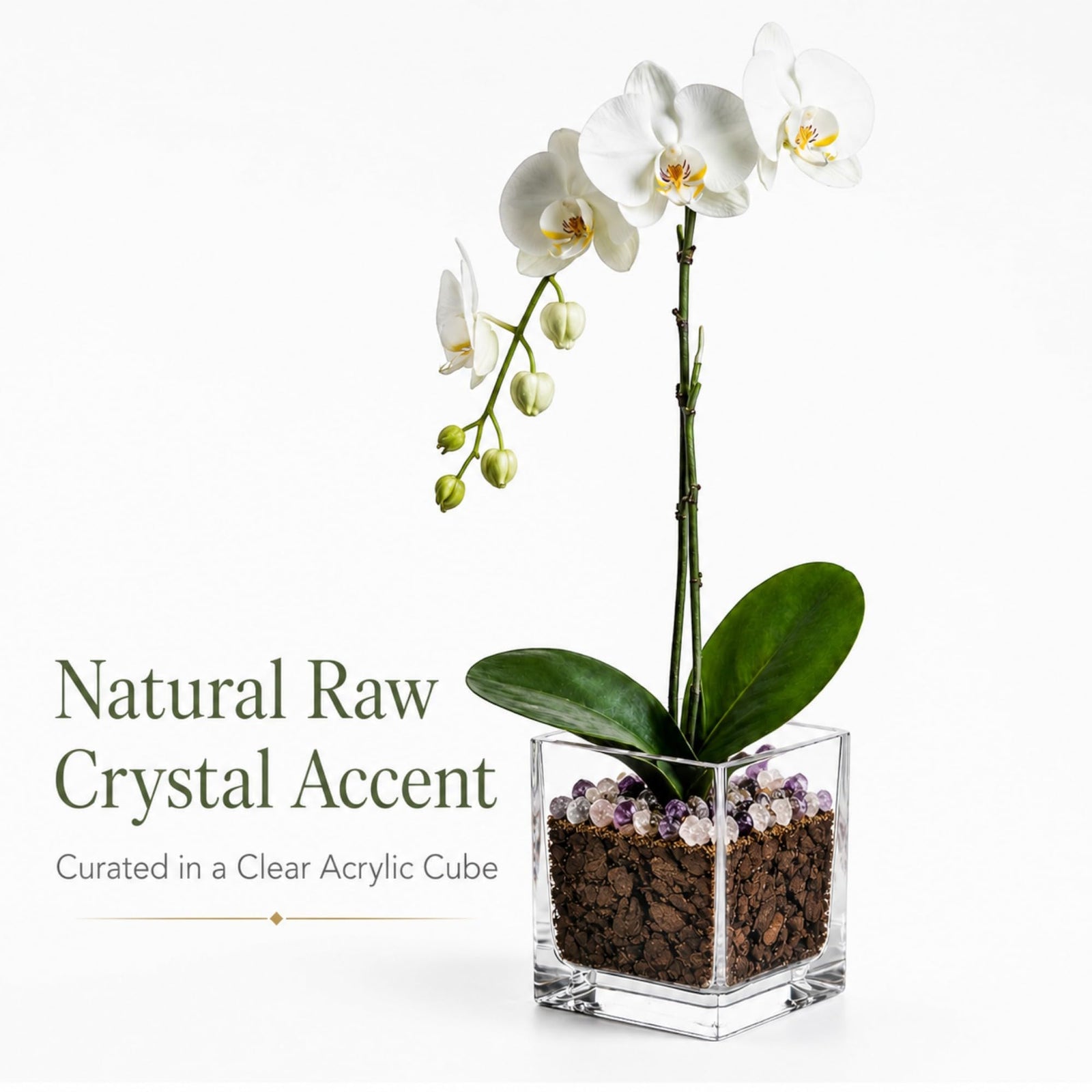 Crystal City Designs white Phalaenopsis orchid in a clear acrylic cube with raw Rose Quartz and Amethyst crystal accents