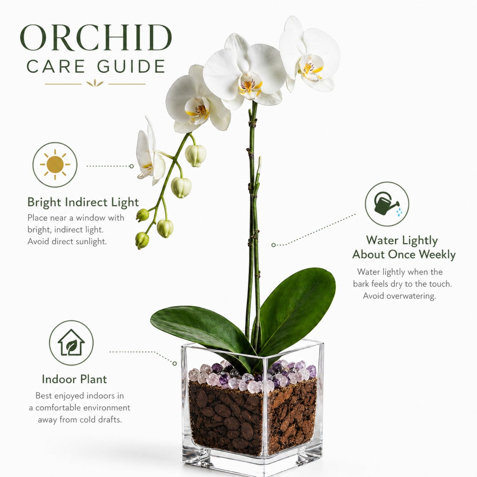 Crystal City Designs white Phalaenopsis orchid in a clear acrylic cube with Rose Quartz and Amethyst crystal accents.