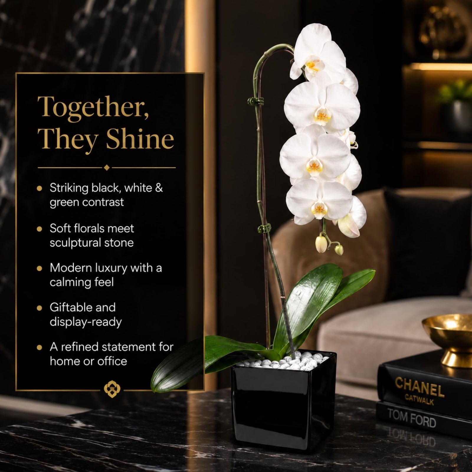 Crystal City Designs white Swan orchid in a black acrylic cube with raw Howlite stones on a modern marble table.