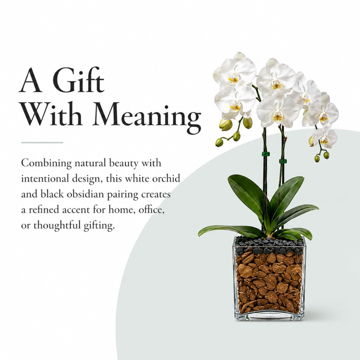 Crystal City Designs double-stem white Phalaenopsis orchid in a clear glass planter with black obsidian crystal accents.