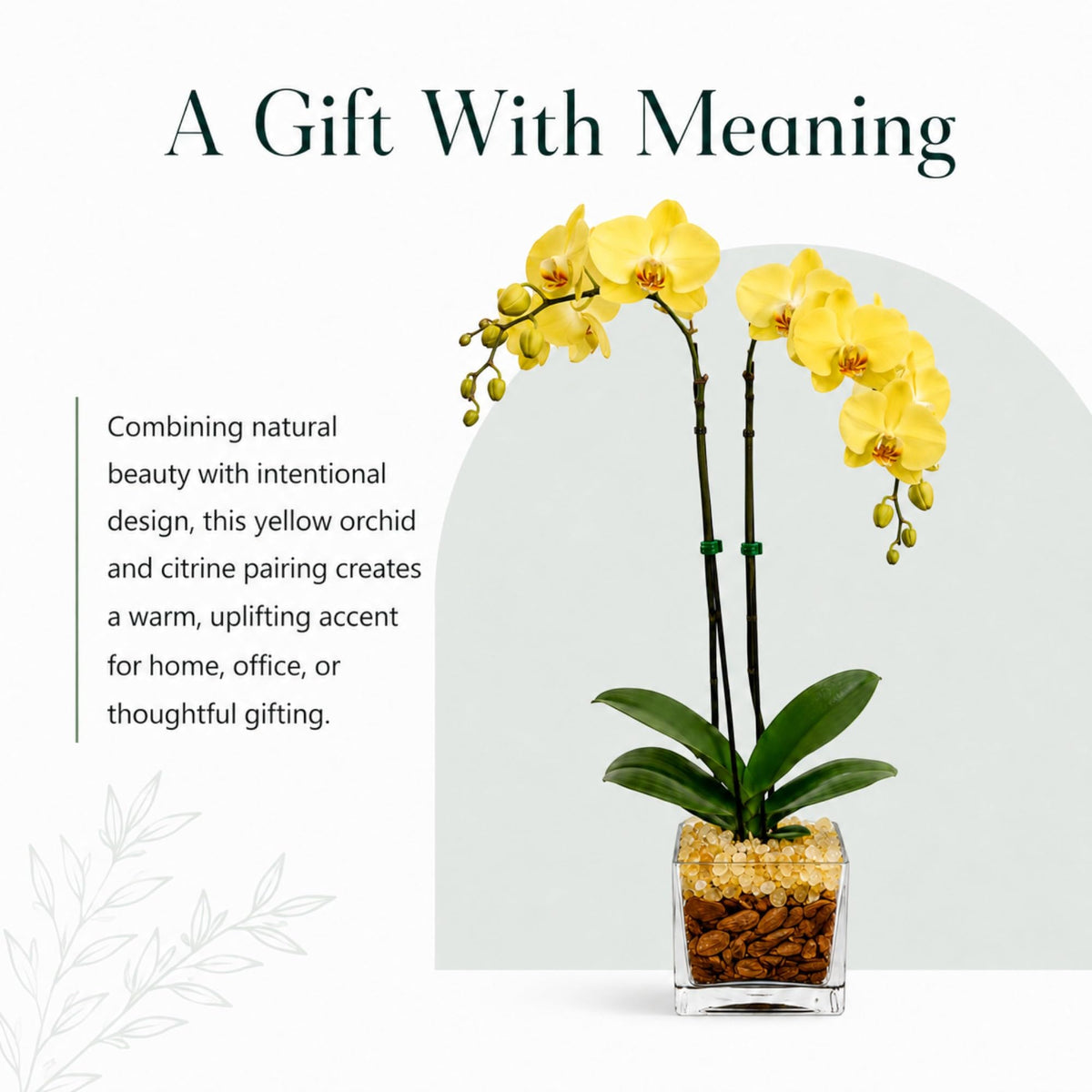 Crystal City Designs yellow double-stem Phalaenopsis orchid in a clear planter with natural Citrine crystal accents.