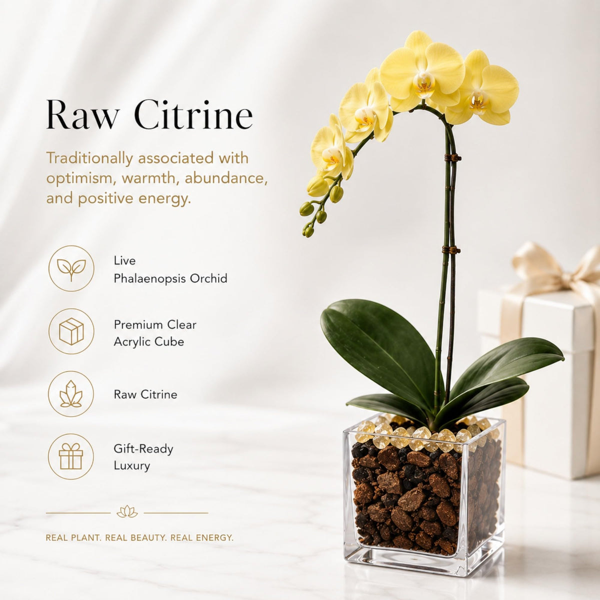 Crystal City Designs yellow Phalaenopsis orchid in a clear acrylic cube with raw Citrine crystals and gift box.