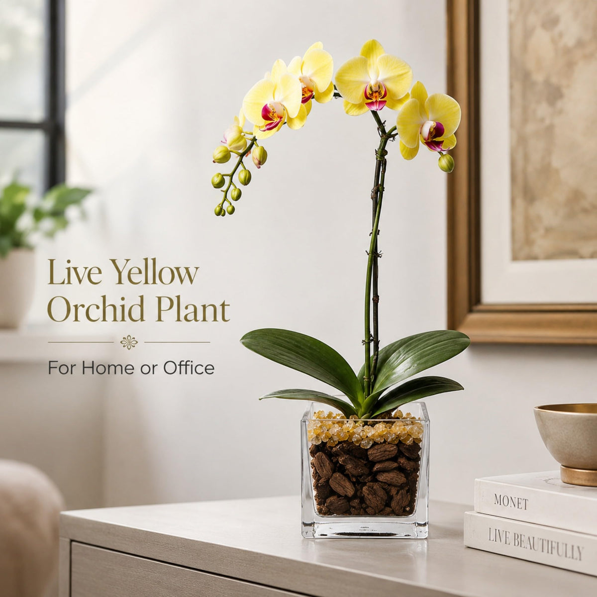Crystal City Designs yellow Phalaenopsis orchid in a clear acrylic cube planter with Citrine crystal accents.