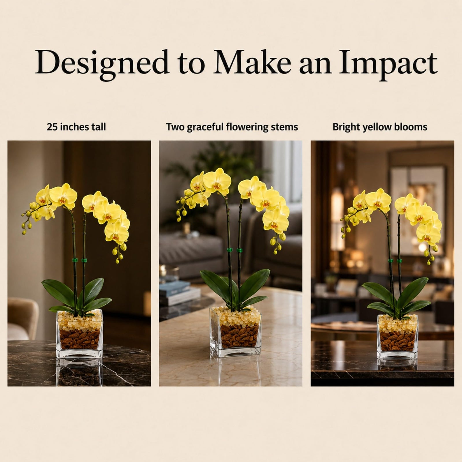 Crystal City Designs yellow double-stem Phalaenopsis orchid in a clear planter with Citrine crystal accents.
