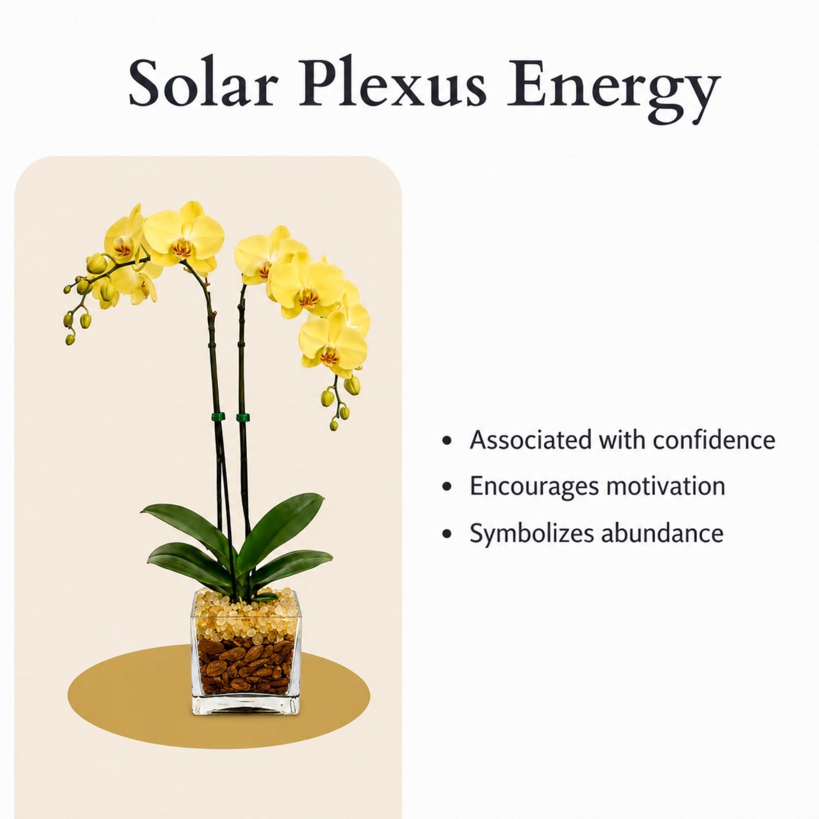 Crystal City Designs yellow double-stem Phalaenopsis orchid in a clear planter with Citrine crystal accents.