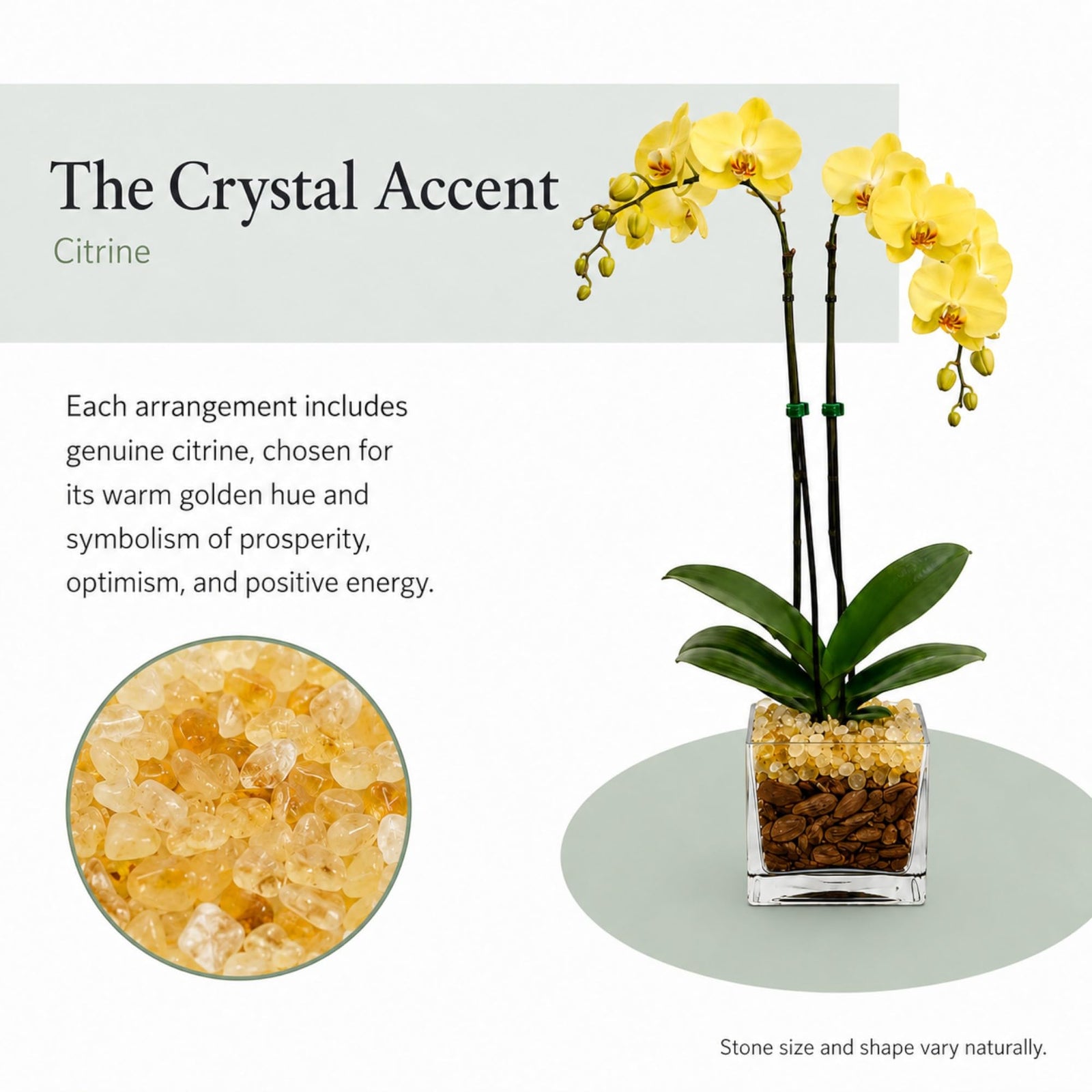 Crystal City Designs double-stem yellow Phalaenopsis orchid in a clear planter with natural Citrine crystal accents.
