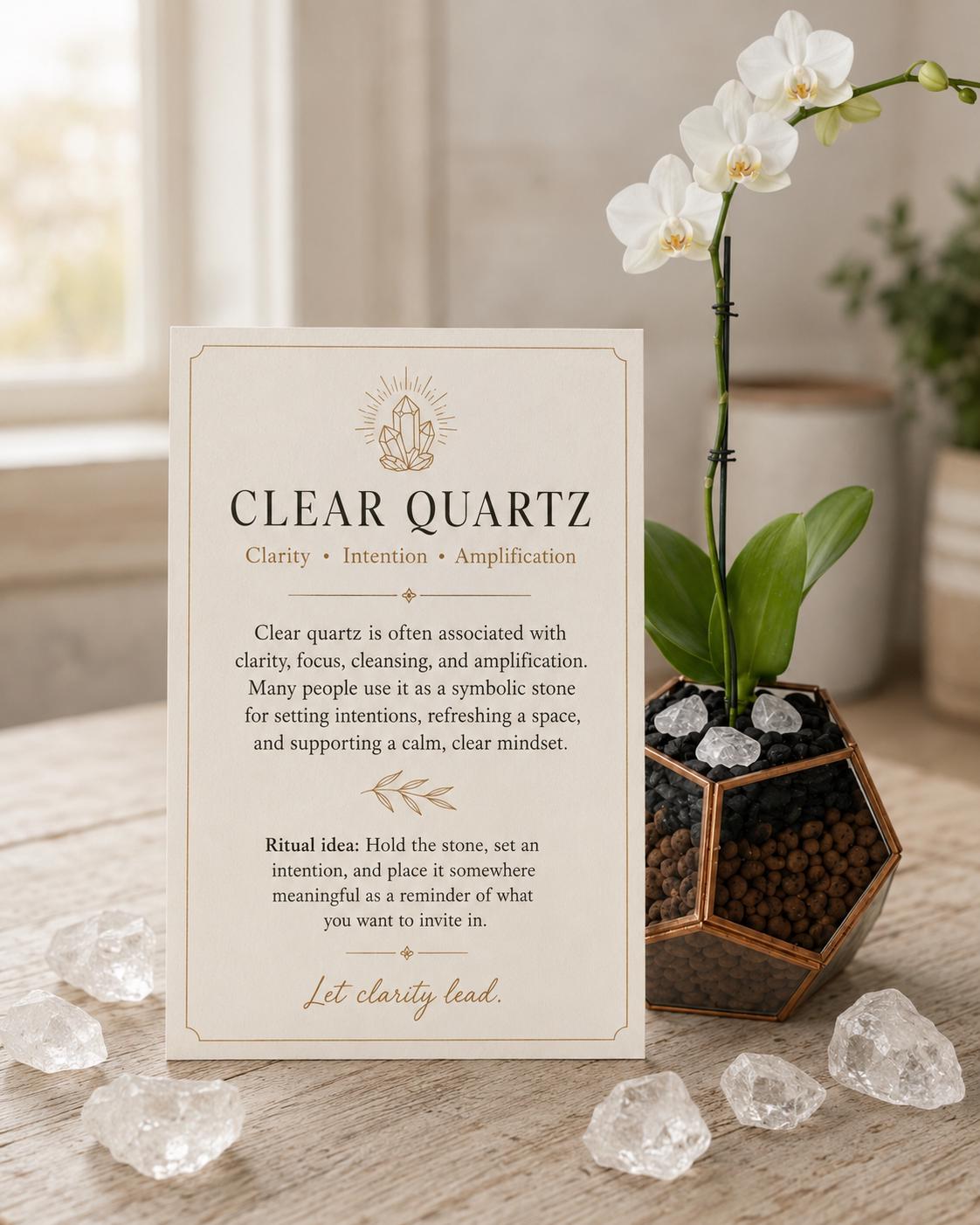 Mini Phalaenopsis Orchid in Geometric Terrarium, Bronze or Gold Trim, Custom Bloom Color
